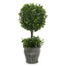 FK172601 Decor/Faux Florals/Plants & Trees