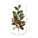 FT190132 Decor/Faux Florals/Wreaths & Garlands