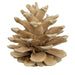 H7BLPS999 Decor/Faux Florals/Wreaths & Garlands