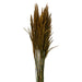 H1PLR725 Decor/Faux Florals/Plants & Trees
