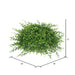 FF170602 Decor/Faux Florals/Plants & Trees