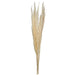 H2PPS999-6 Decor/Faux Florals/Plants & Trees