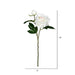 FV190971 Decor/Faux Florals/Wreaths & Garlands