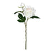 FV190971 Decor/Faux Florals/Wreaths & Garlands