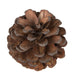 H7BLPM000 Decor/Faux Florals/Wreaths & Garlands