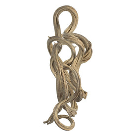 13" Natural Preserved Bleached Coiled Vine Single Piece