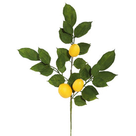 Vickerman 20" Artificial Green and Yellow Salal Leaf Lemon Sprays. Pack of 4.