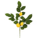 FK170701-4 Decor/Faux Florals/Wreaths & Garlands