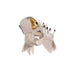HHMUM-2FLS Holiday/Halloween/Halloween Outdoor Decor
