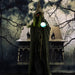 HHWITCH-38FLSA Holiday/Halloween/Halloween Outdoor Decor