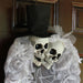 HHBRIDE-1WRTH Holiday/Halloween/Halloween Indoor Decor