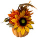 31737200 Holiday/Thanksgiving & Fall/Thanksgiving & Fall Tableware and Decor