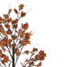 34858405 Holiday/Thanksgiving & Fall/Thanksgiving & Fall Tableware and Decor