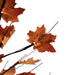 34858405 Holiday/Thanksgiving & Fall/Thanksgiving & Fall Tableware and Decor