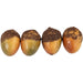 33049649 Holiday/Thanksgiving & Fall/Thanksgiving & Fall Tableware and Decor
