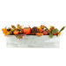 33532661 Holiday/Thanksgiving & Fall/Thanksgiving & Fall Tableware and Decor