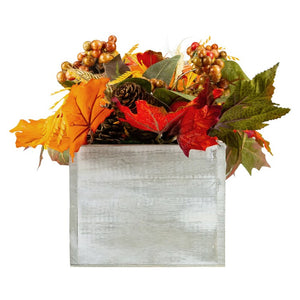 33532661 Holiday/Thanksgiving & Fall/Thanksgiving & Fall Tableware and Decor