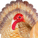 34865414 Holiday/Thanksgiving & Fall/Thanksgiving & Fall Tableware and Decor