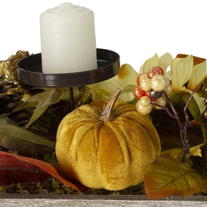 33532663 Holiday/Thanksgiving & Fall/Thanksgiving & Fall Tableware and Decor