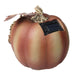 32915454 Holiday/Thanksgiving & Fall/Thanksgiving & Fall Tableware and Decor