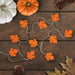 34851531 Holiday/Thanksgiving & Fall/Thanksgiving & Fall Tableware and Decor