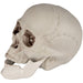 32255994 Holiday/Halloween/Halloween Indoor Decor
