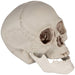 32255994 Holiday/Halloween/Halloween Indoor Decor
