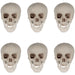 32255994 Holiday/Halloween/Halloween Indoor Decor