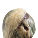 32912606 Holiday/Halloween/Halloween Indoor Decor