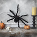32256120 Holiday/Halloween/Halloween Indoor Decor