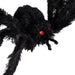32256120 Holiday/Halloween/Halloween Indoor Decor