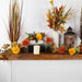 31737149 Holiday/Thanksgiving & Fall/Thanksgiving & Fall Tableware and Decor