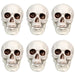 32255997 Holiday/Halloween/Halloween Indoor Decor