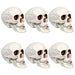 32255997 Holiday/Halloween/Halloween Indoor Decor
