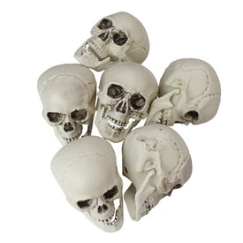 3.5" Skull Head Halloween Decorations 6-Pack