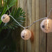 34854975 Holiday/Halloween/Halloween Indoor Decor