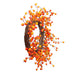 32257206 Holiday/Thanksgiving & Fall/Thanksgiving & Fall Tableware and Decor