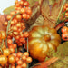 32259503 Holiday/Thanksgiving & Fall/Thanksgiving & Fall Tableware and Decor
