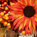 34315237 Holiday/Thanksgiving & Fall/Thanksgiving & Fall Tableware and Decor