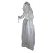 34289230 Holiday/Halloween/Halloween Indoor Decor