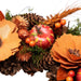 34300483 Holiday/Thanksgiving & Fall/Thanksgiving & Fall Tableware and Decor