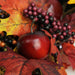 32275285 Holiday/Thanksgiving & Fall/Thanksgiving & Fall Tableware and Decor
