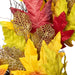 32275288 Holiday/Thanksgiving & Fall/Thanksgiving & Fall Tableware and Decor