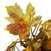 33650107 Holiday/Thanksgiving & Fall/Thanksgiving & Fall Tableware and Decor