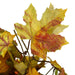 33650107 Holiday/Thanksgiving & Fall/Thanksgiving & Fall Tableware and Decor