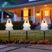 34854953 Holiday/Halloween/Halloween Indoor Decor