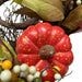 34141521 Holiday/Thanksgiving & Fall/Thanksgiving & Fall Tableware and Decor