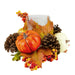 34141522 Holiday/Thanksgiving & Fall/Thanksgiving & Fall Tableware and Decor