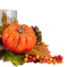 34141522 Holiday/Thanksgiving & Fall/Thanksgiving & Fall Tableware and Decor