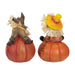 32915445 Holiday/Thanksgiving & Fall/Thanksgiving & Fall Tableware and Decor